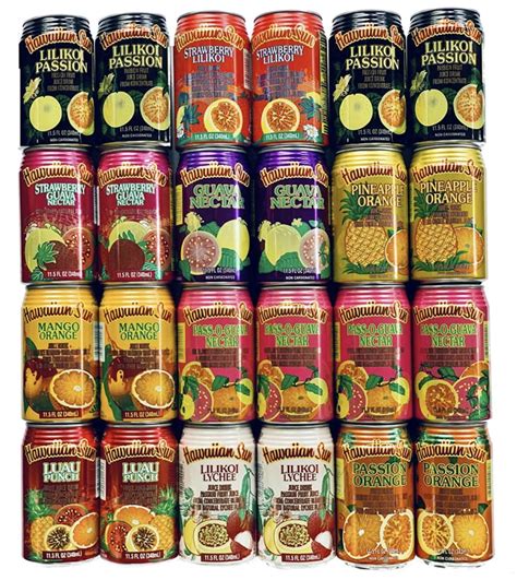 Hawaiian Sun Premium Tropical Juice Drink Party Bundle Of 10 Assorted ...