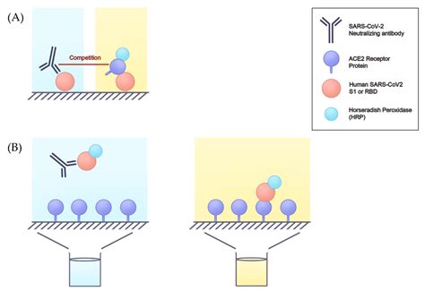 Neutralization Test 的图像结果