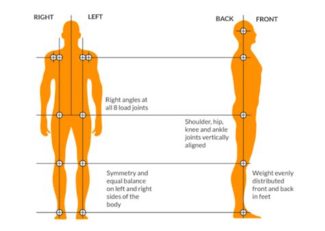 Image result for Posture From Back View Alignment