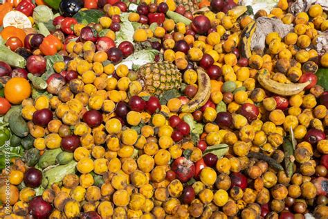 Image result for Biodegradable Waste Example