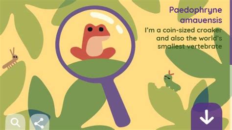 Google doodle on earth day 2019 google celebrate doodle know here many ...