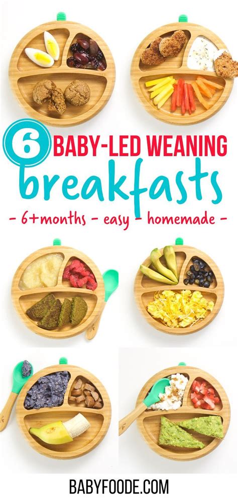 food ideas baby led weaning