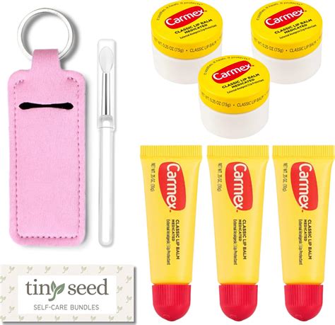 Amazon.com : Set of 6 Medicated Lip Balms by Carmex: 3 Jars and 3 Tubes ...