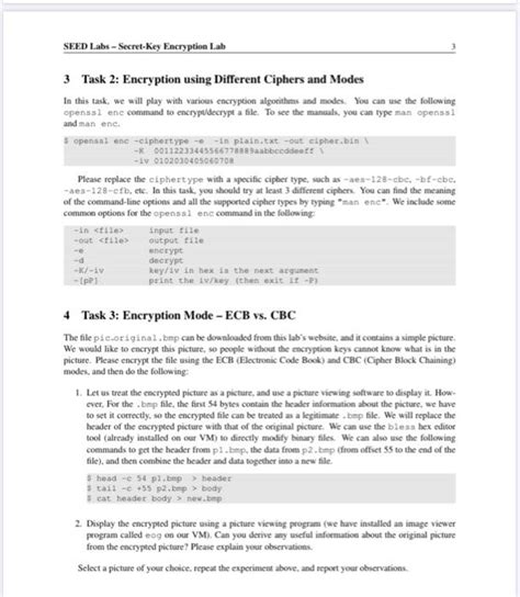 Image result for Secret Key Encryption Seed Task 7 Lab 4