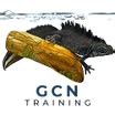 Image result for GCN Training Program
