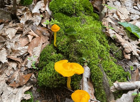 Genetic Methylation Testing Near Wilkes-Barre & Scranton