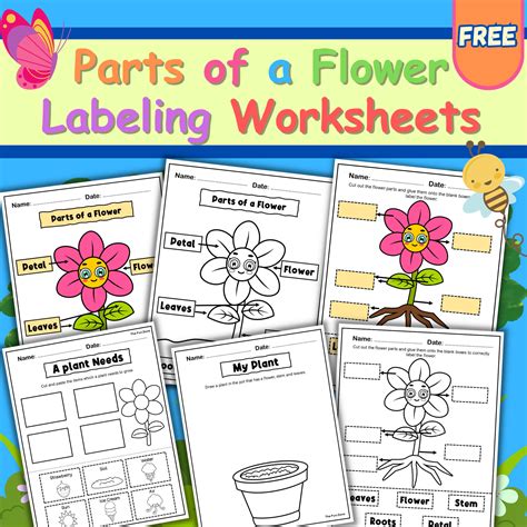 Parts of a Plant Worksheet Cut and Paste Activity