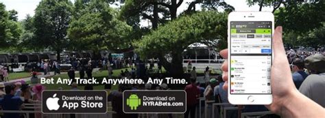 Betting 101: Learn How to Bet Horse Racing - NYRA Bets