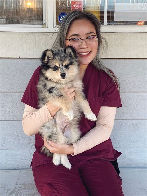 Support Staff — Warm Springs Pet Hospital