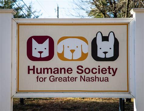 The Humane Society for Greater Nashua has plans to meet the growing ...