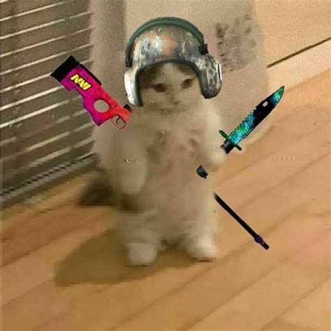 Image result for Rust Cat PFP