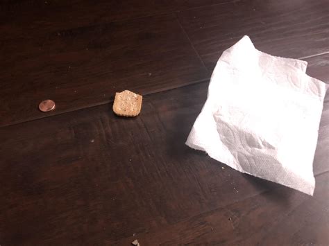 Spongebob Penny Chip And Used Napkin