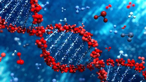 Biotechnology Engineering 的图像结果