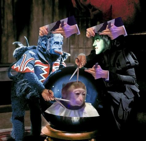 Wicked witch of the west predicts monkey getting a haircut : r/SolCoins