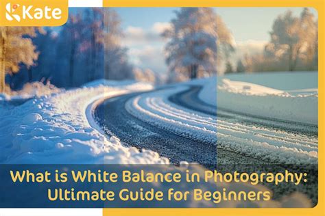 Image result for Photography Composition