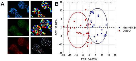 Hierridin B Isolated from a Marine Cyanobacterium Alters VDAC1 ...