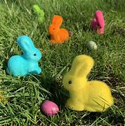Image result for Colorful Bunnies