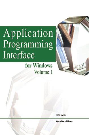 Buy Application Programming Interface for Windows: 1 Book Online at Low ...