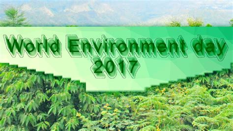 Image result for Software Development Path
