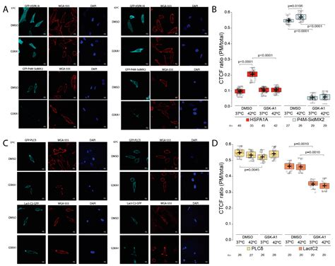 Phosphatidylinositol Monophosphates Regulate the Membrane Localization ...