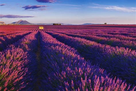 10 perfect places to visit outside India in August | Times of India Travel