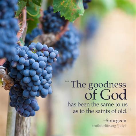 William Tyndale Quote: “God’s goodness is the root of all goodness; and ...