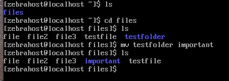 Image result for Rename Linux Files CentOS 7