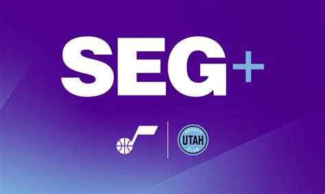 Image result for Seg Icon