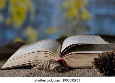 Language Book 的图像结果