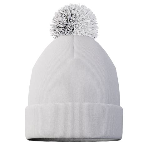 Install Beanie Python 的图像结果