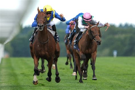 A 'Goliath' horse racing journey: John Stewart versus the world