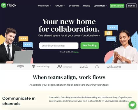 Flock Features 的图像结果