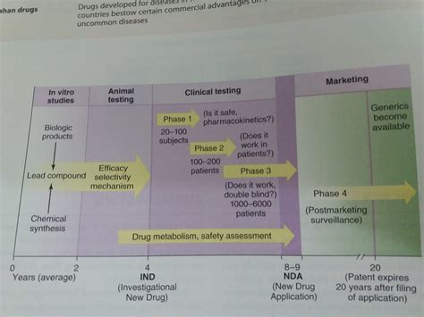 Image result for Drug Development Flowchart