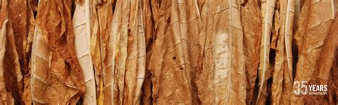 Tobacco Product Testing - Eurofins Scientific