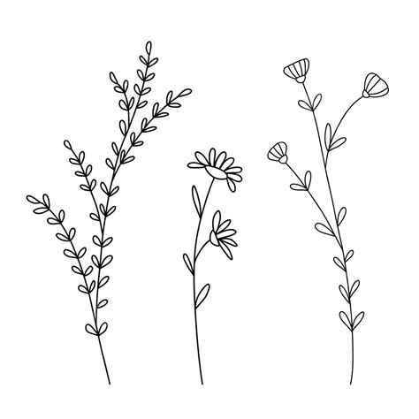 Wildflower Sketch 2,455 Wildflower Sketch Stock Photos, High Res