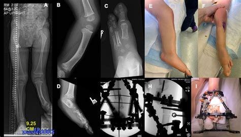 Ein unvergessliches Jahr - Orthopädie & Traumatologie - Universimed ...