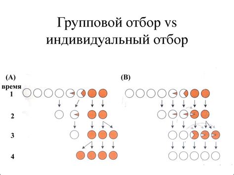Групповой отбор vs индивидуальный отбор - online presentation
