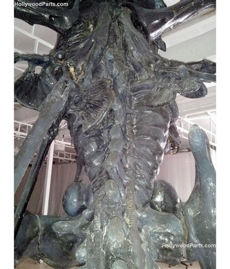 Image result for Alien Queen Mother