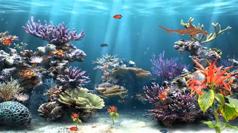 Bildergebnis für youtube screen savers background aquarium
