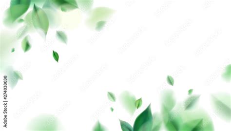 Image result for Calaculate Order of Algorithm
