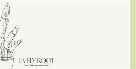 Lavender Sun Requirements: How Much Sun Does Lavender Need?