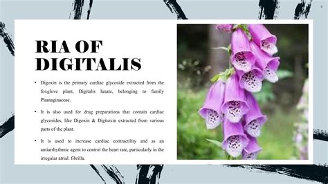 RADIOIMMUNOASSAY OF DIGITALIS AND INSULIN.pptx
