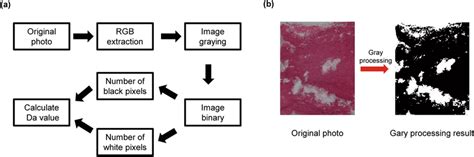 Image result for Gray Scale Processing in Python
