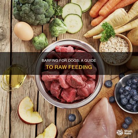 Barfing For Dogs: A Guide To Raw Feeding | ShunKeto