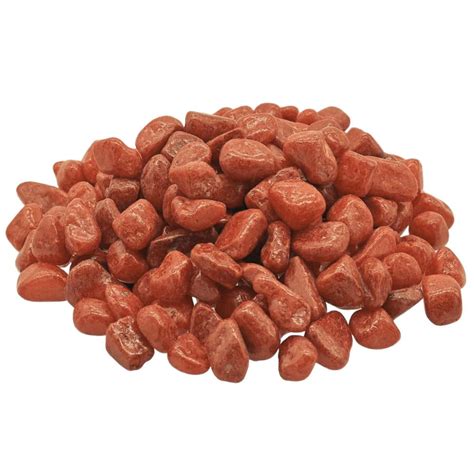 Hug A Plant | Brown Painted Pebbles 1Kg Stone for Home Decorative|Vase ...