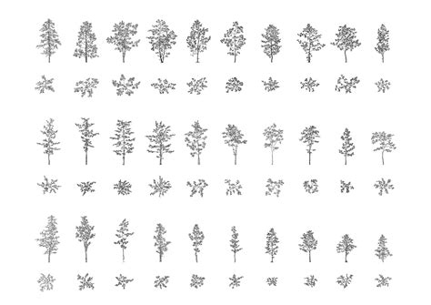 Image result for Random CAD Tree Base Generator