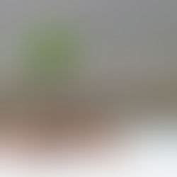 Image result for Softbox Tutorial