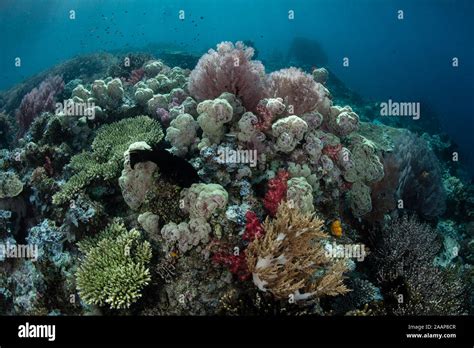 Image result for Random Sampling Error