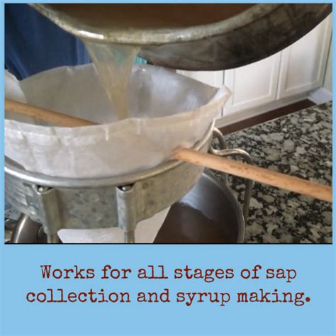 Image result for Maple Syrup Filters