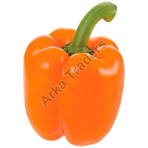 Fresh Capsicum Exporter & Supplier from Hyderabad